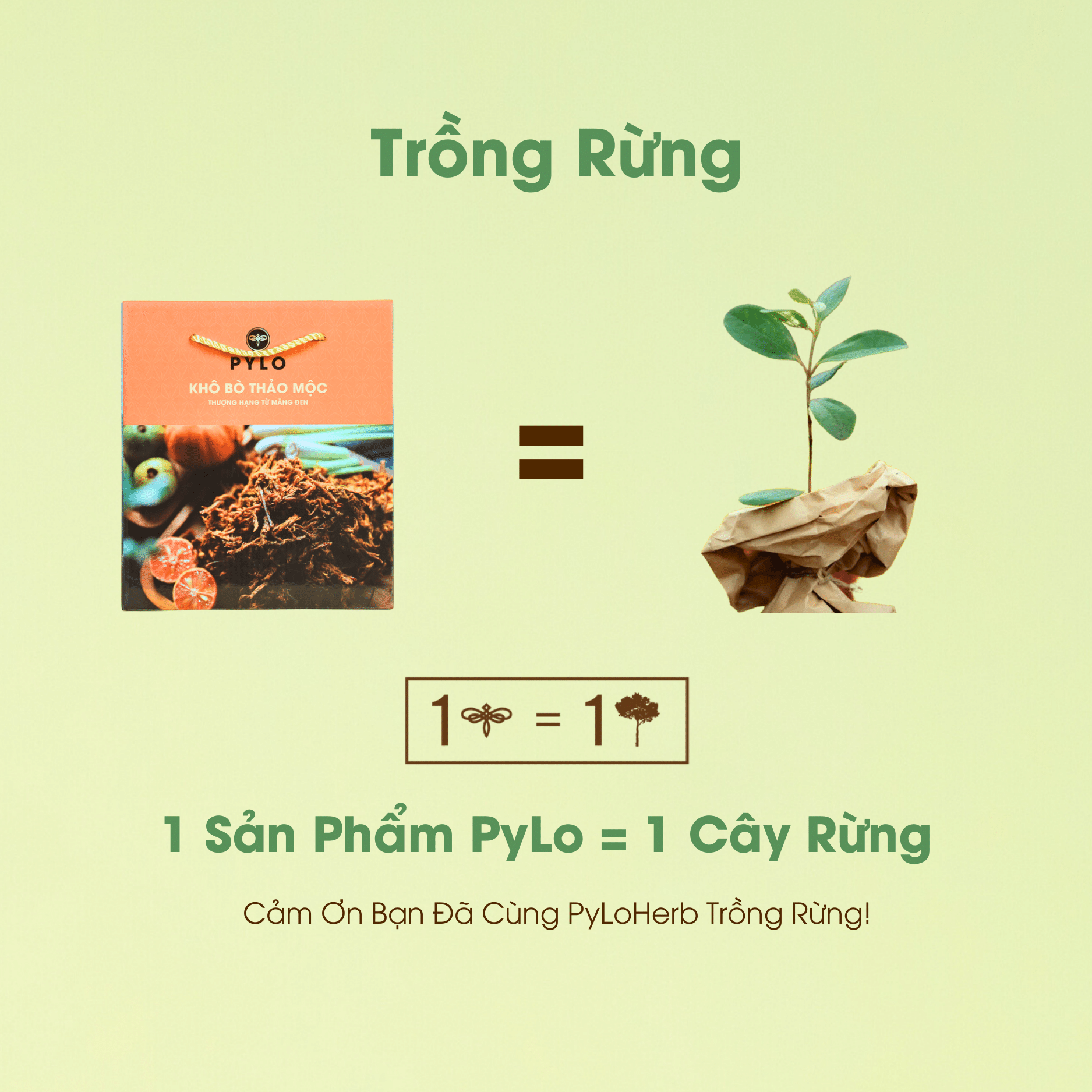 Khô Bò Thảo Mộc PyLo - Ảnh 2
