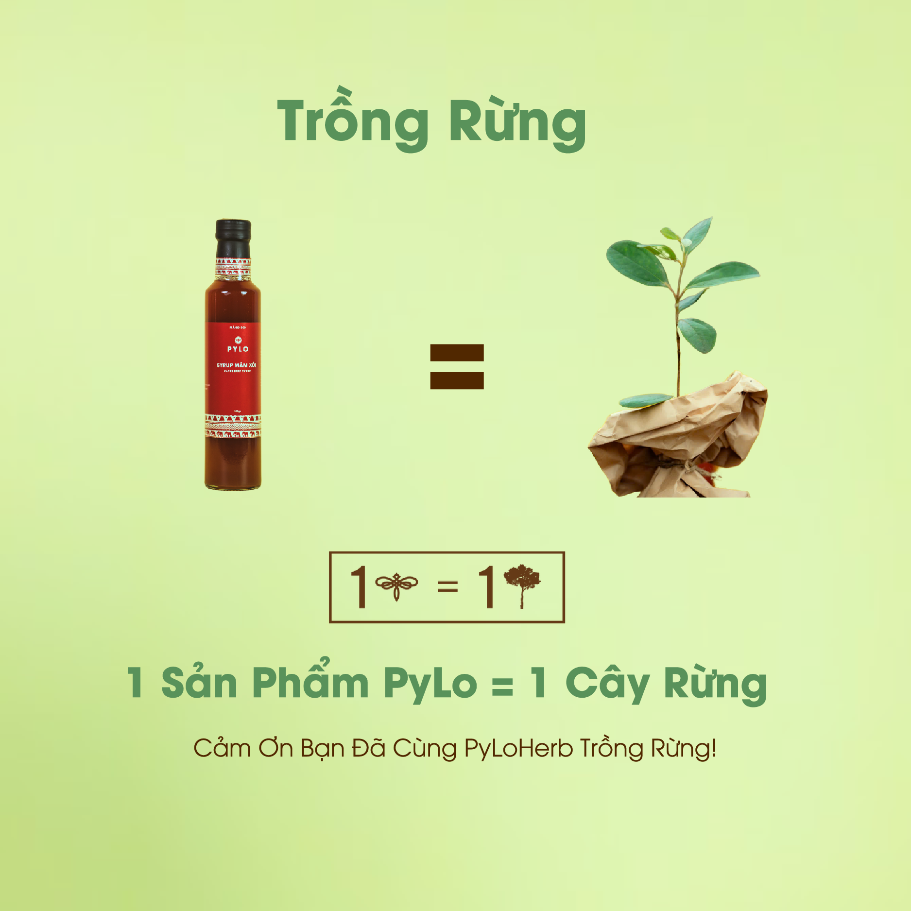 Syrup Mâm Xôi Rừng PyLo - Ảnh 2