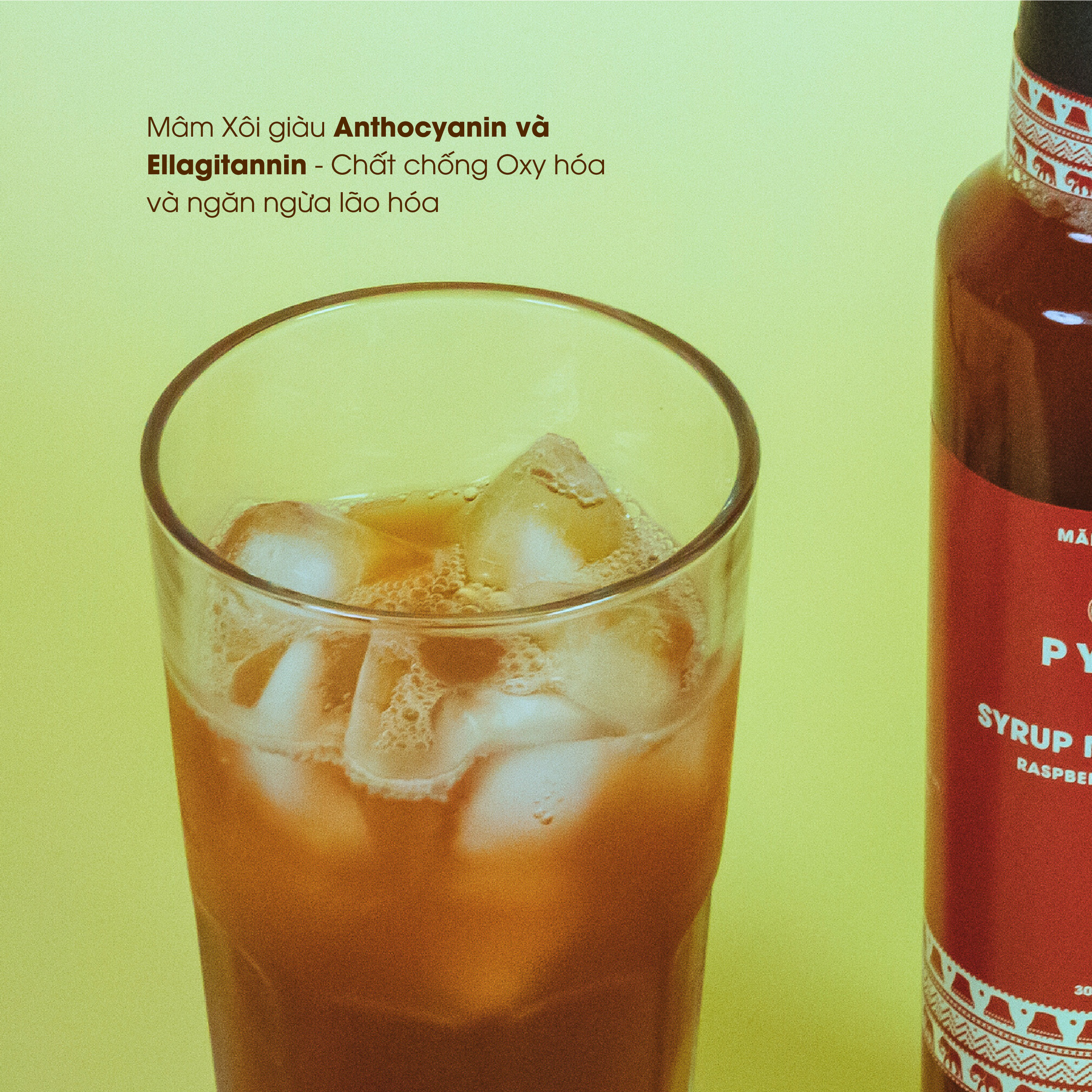 Syrup Mâm Xôi Rừng PyLo - Ảnh 5