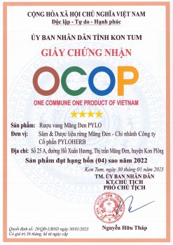 Alternative view of Rượu Vang Mâm Xôi Măng Đen PyLo