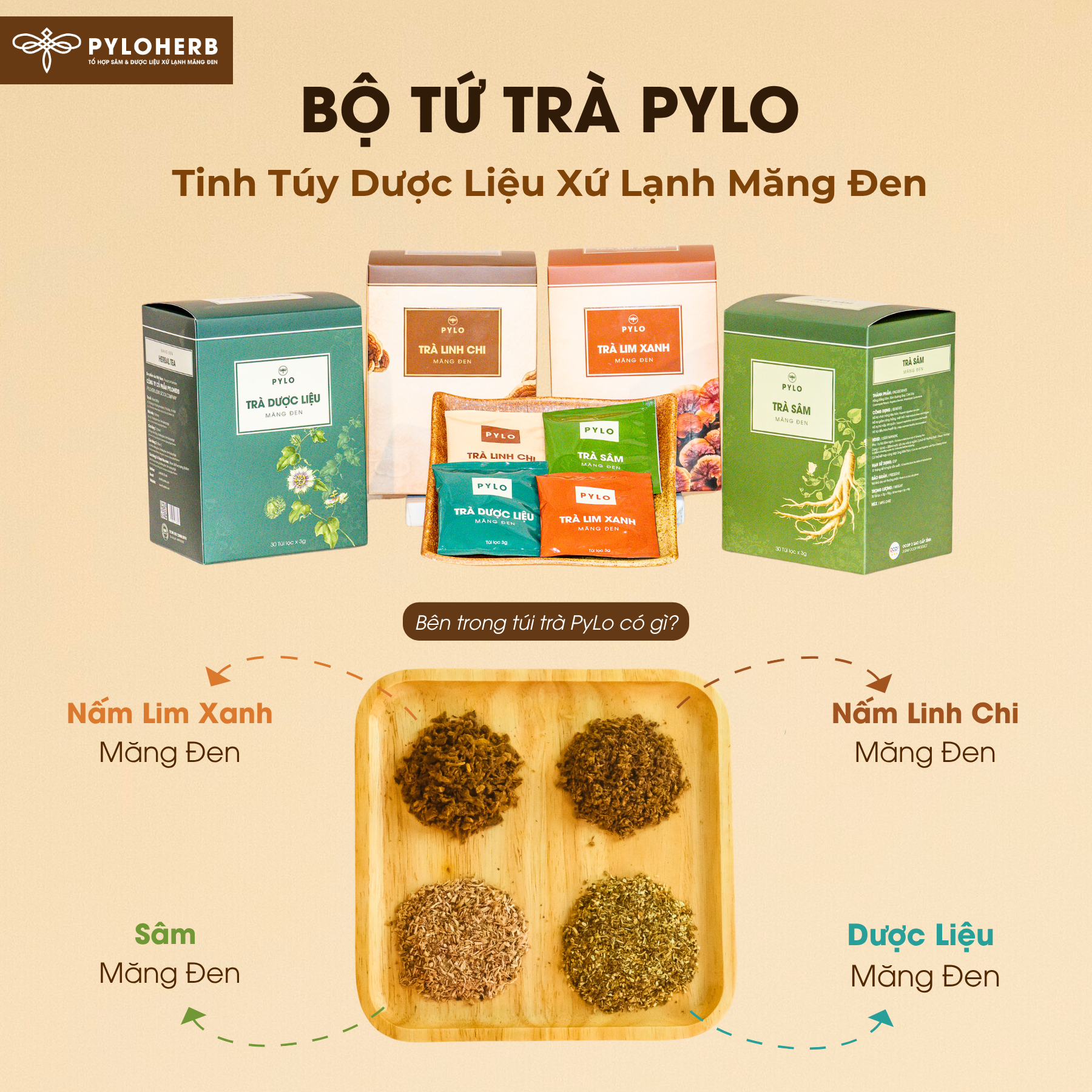 Trà Sâm PyLo - Ảnh 6
