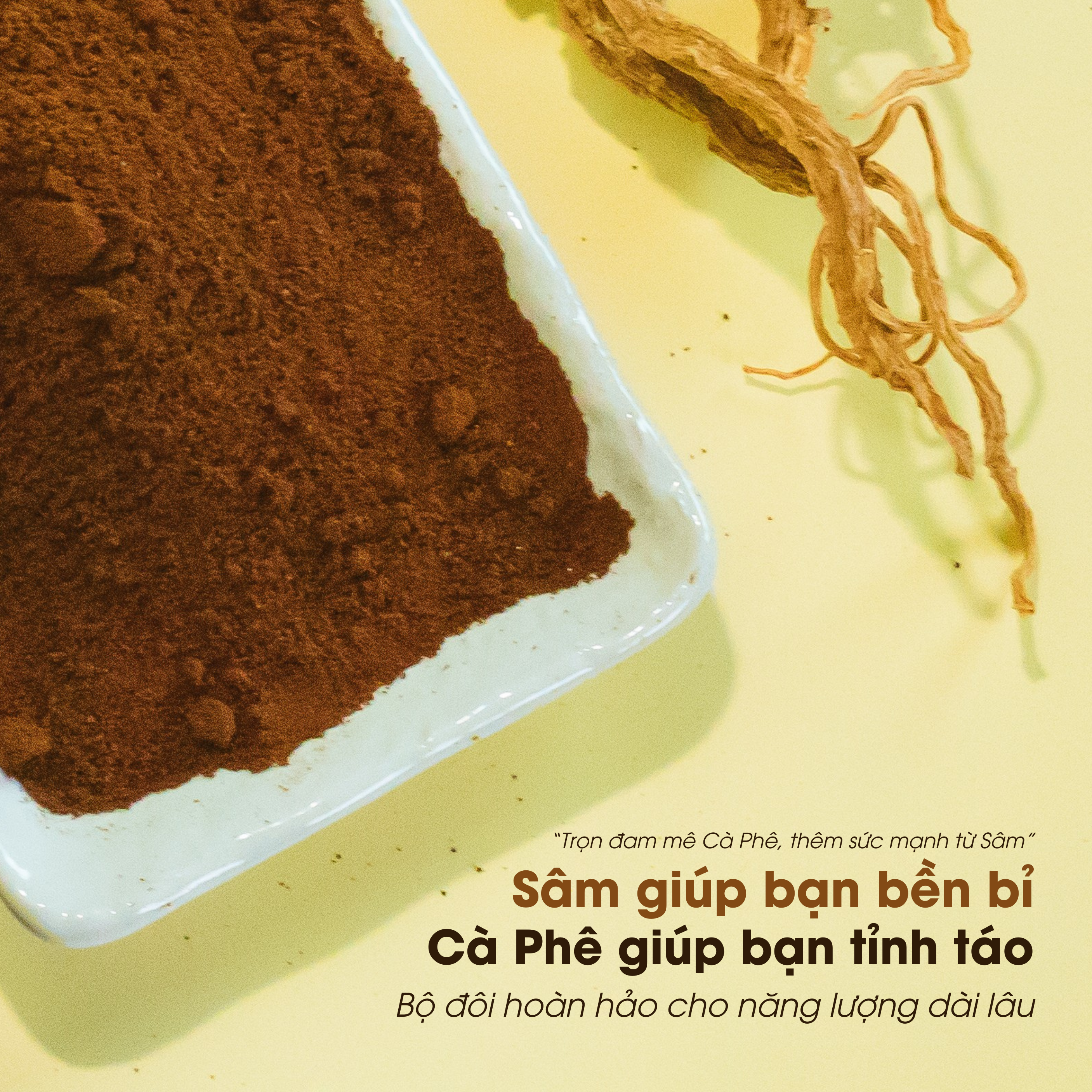 Cà Phê Sâm PyLo - Ảnh 6