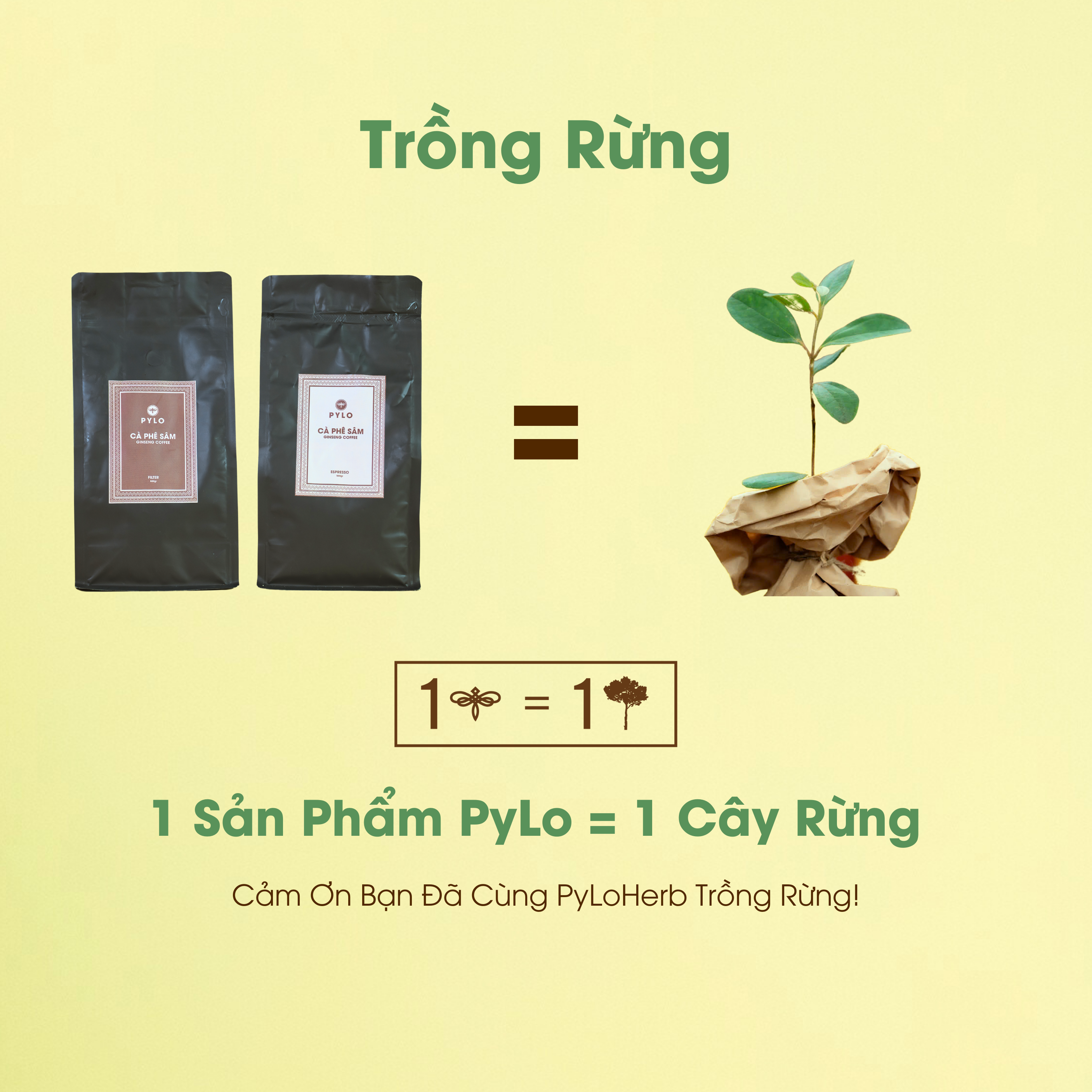 Cà Phê Sâm PyLo - Ảnh 7