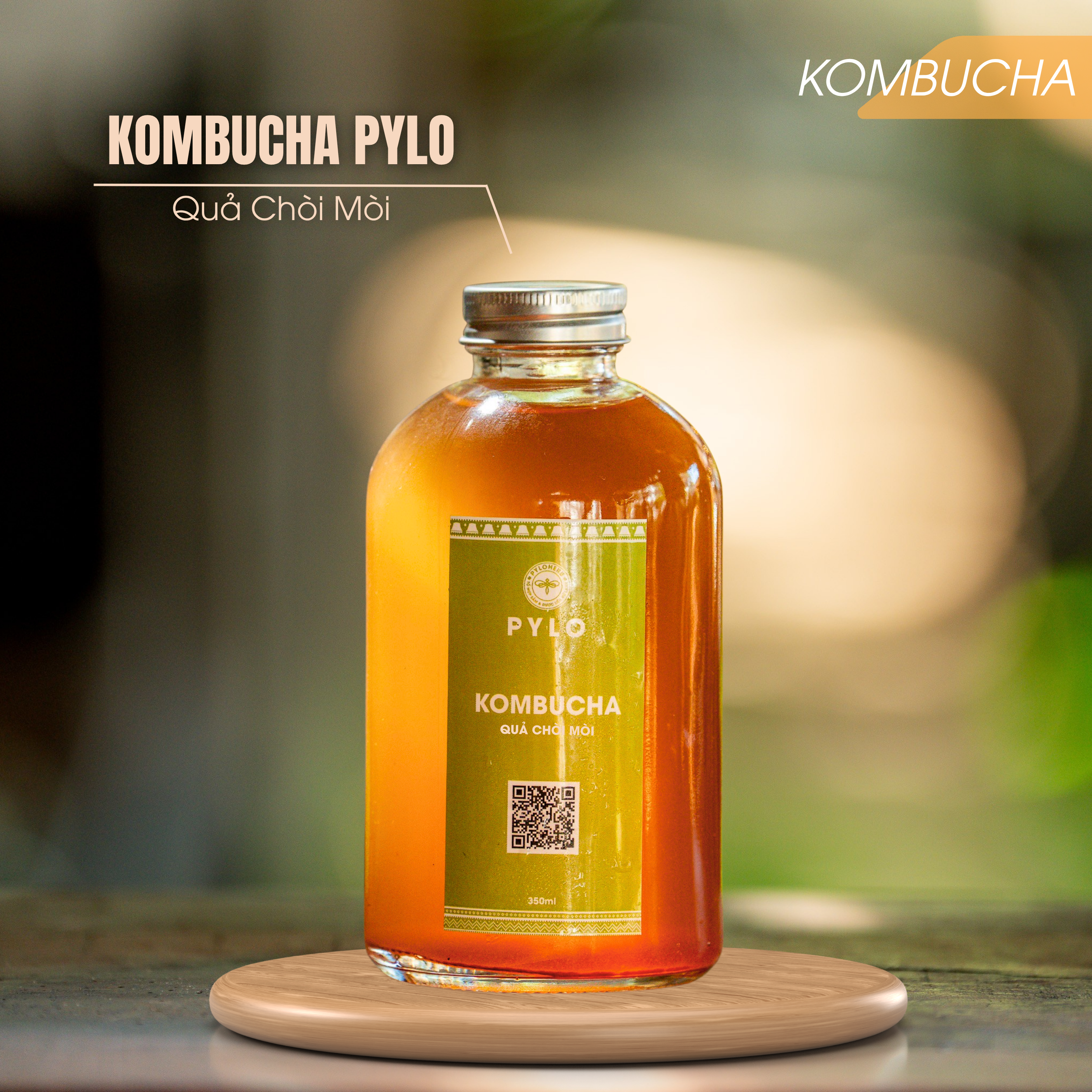 Trà Kombucha PyLo - Ảnh 2