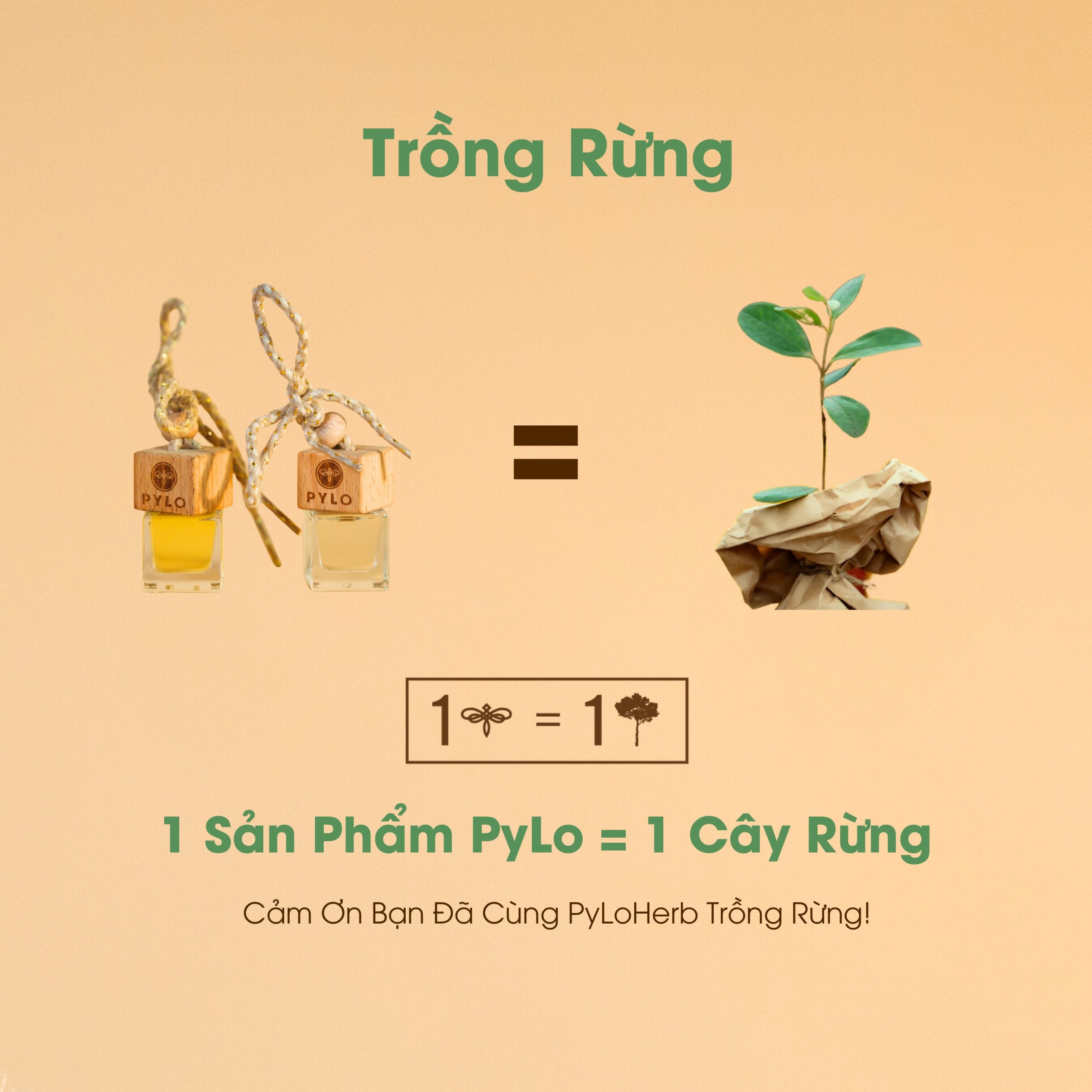 Tinh Dầu Treo PyLo - Sự Lựa Chọn Hoàn Hảo Cho Không Gian Sống - Ảnh 5