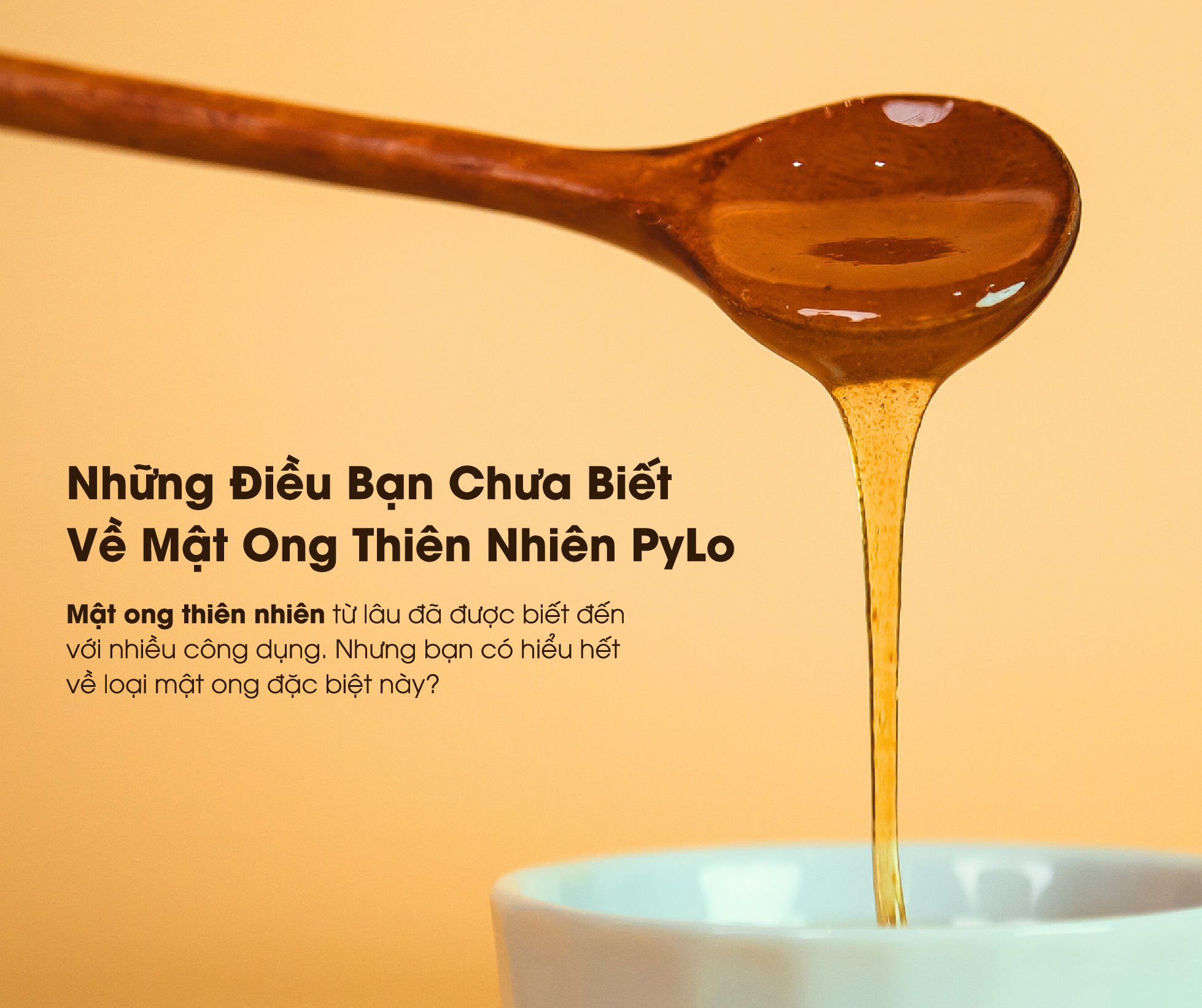 Bạn biết gì về mật ong thiên nhiên?