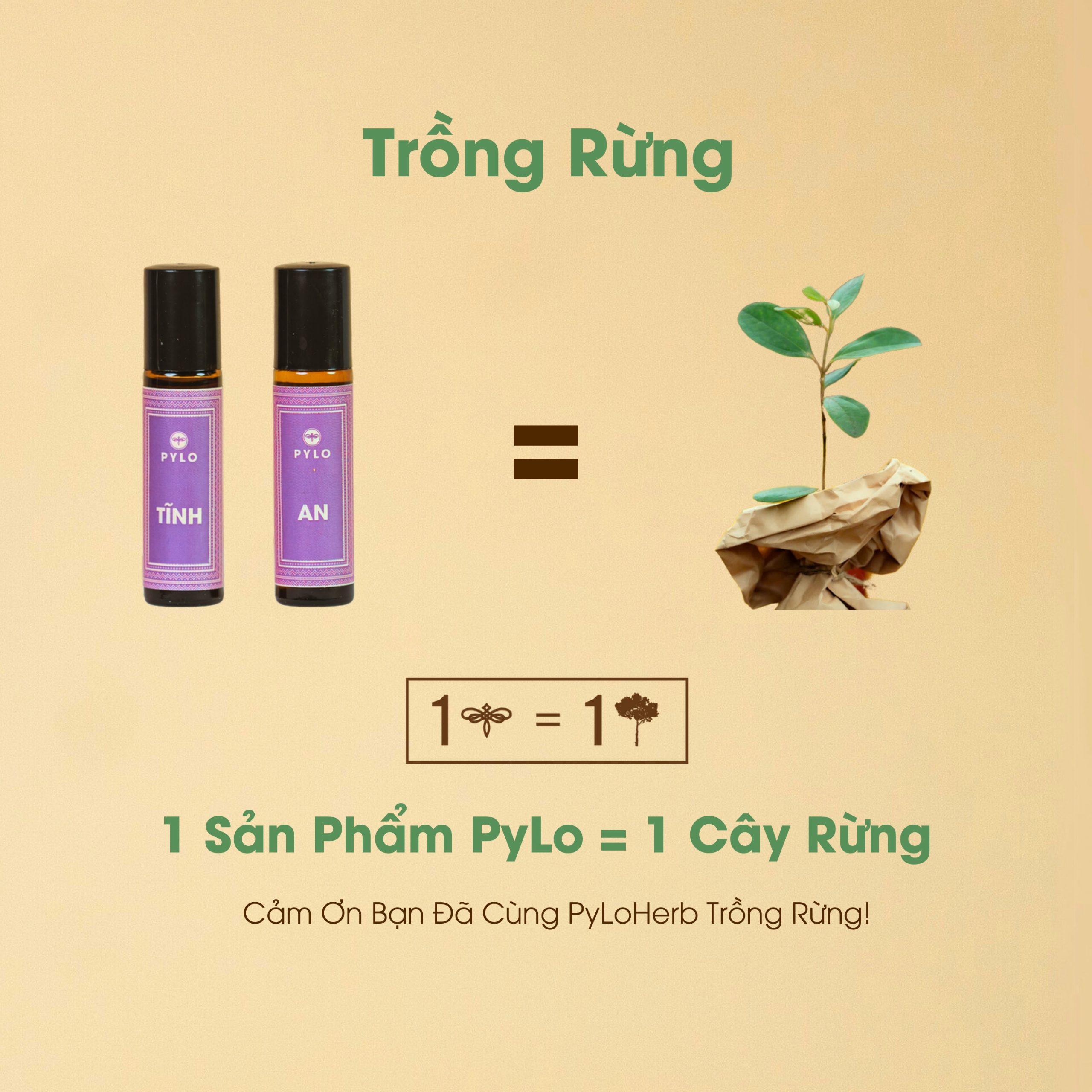 Nước Hoa Thảo Dược PyLo - Ảnh 6