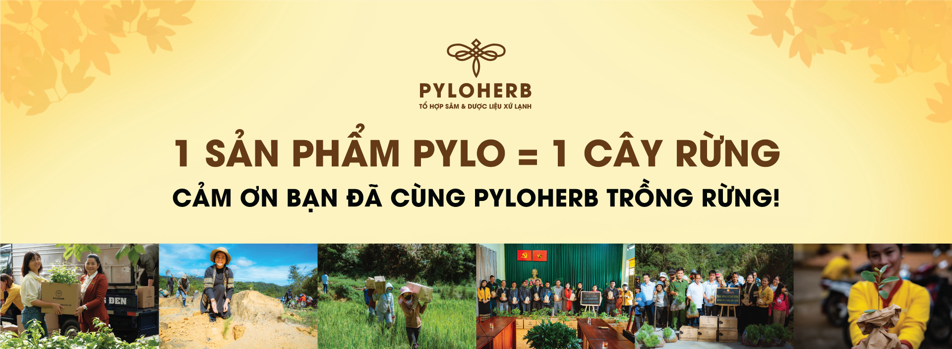 Sản phẩm Pylo = Trồng rừng