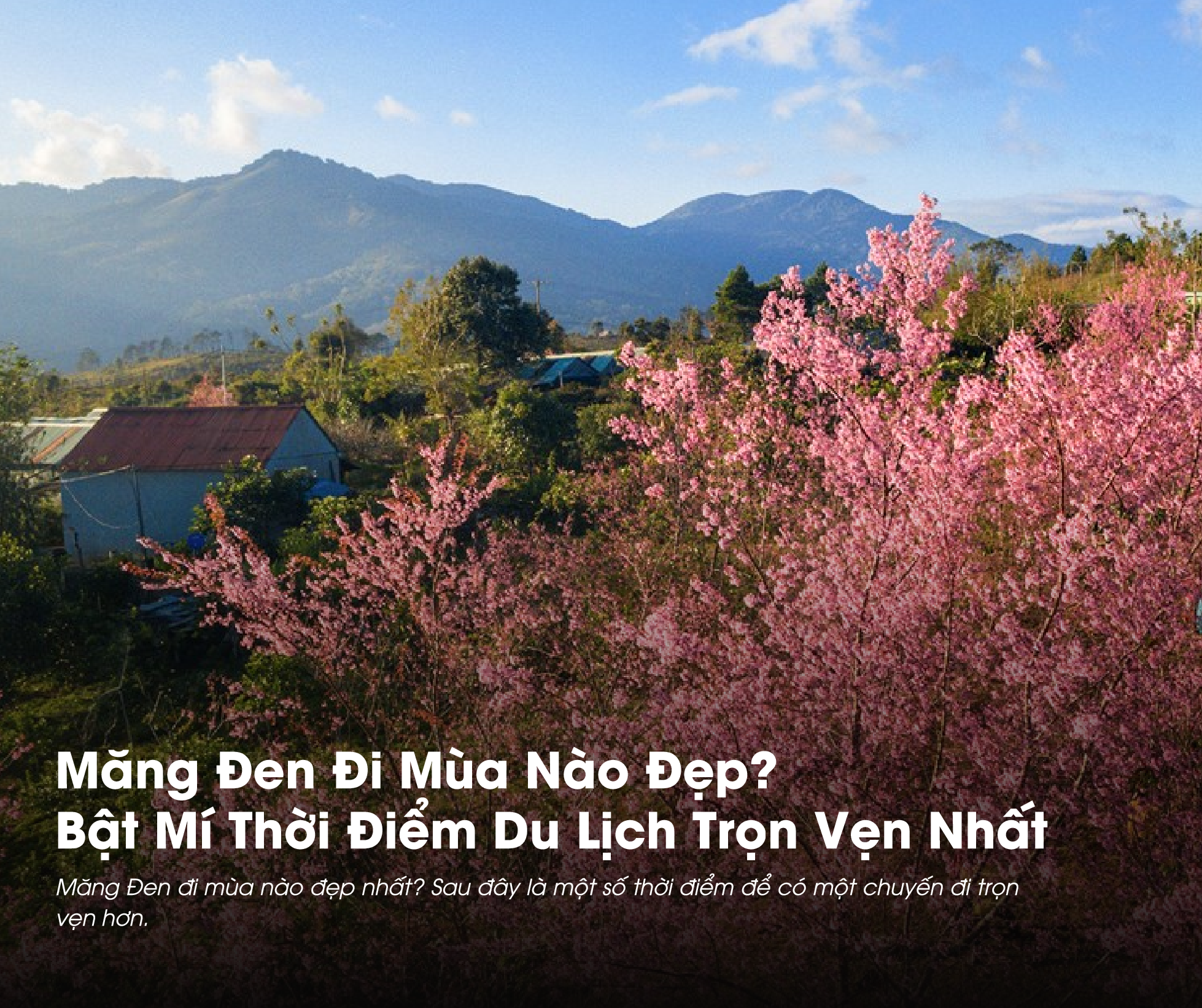 Măng Đen đi mùa nào đẹp thường là thắc mắc của nhiều người