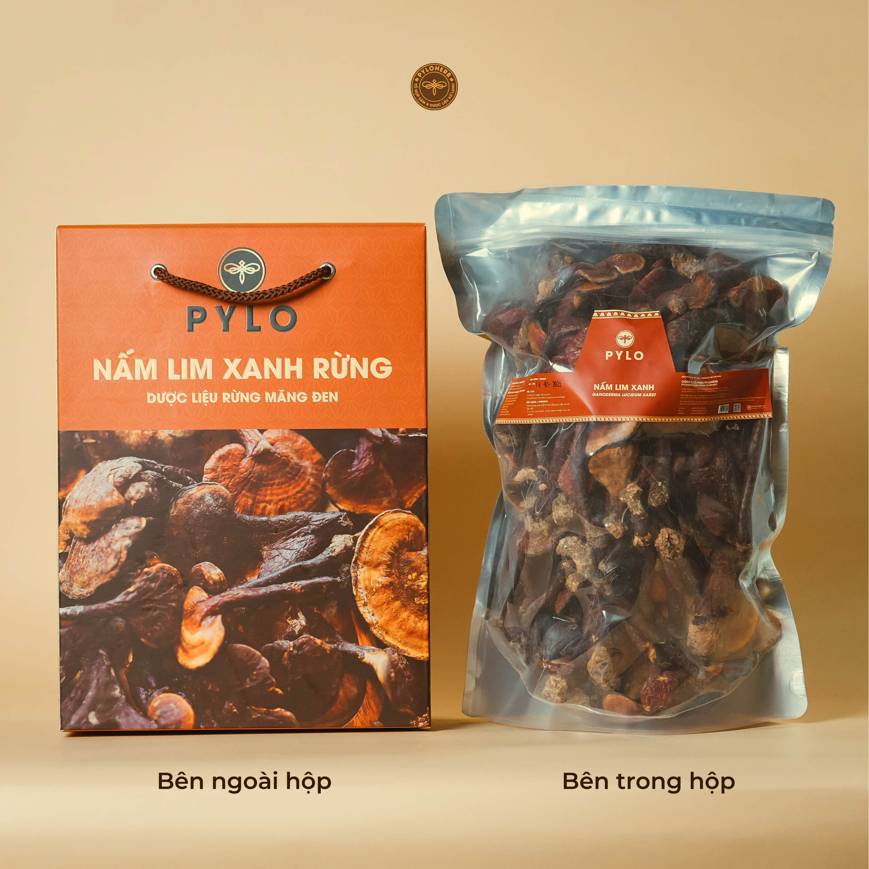 Nấm Lim Xanh Tự Nhiên PyLo - Ảnh 3