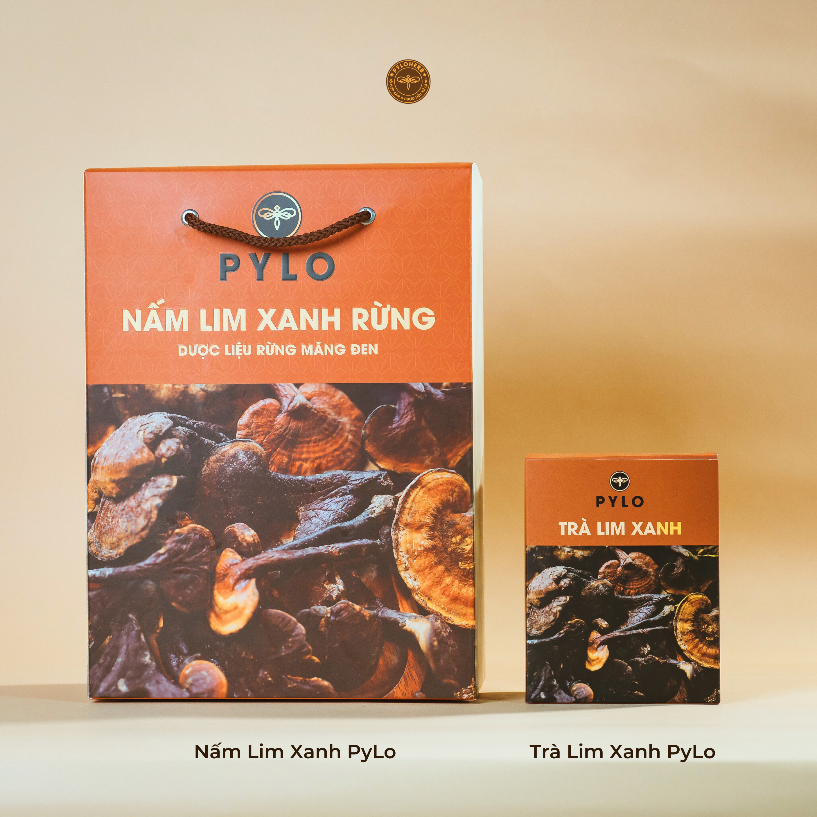 Nấm Lim Xanh Tự Nhiên PyLo - Ảnh 4