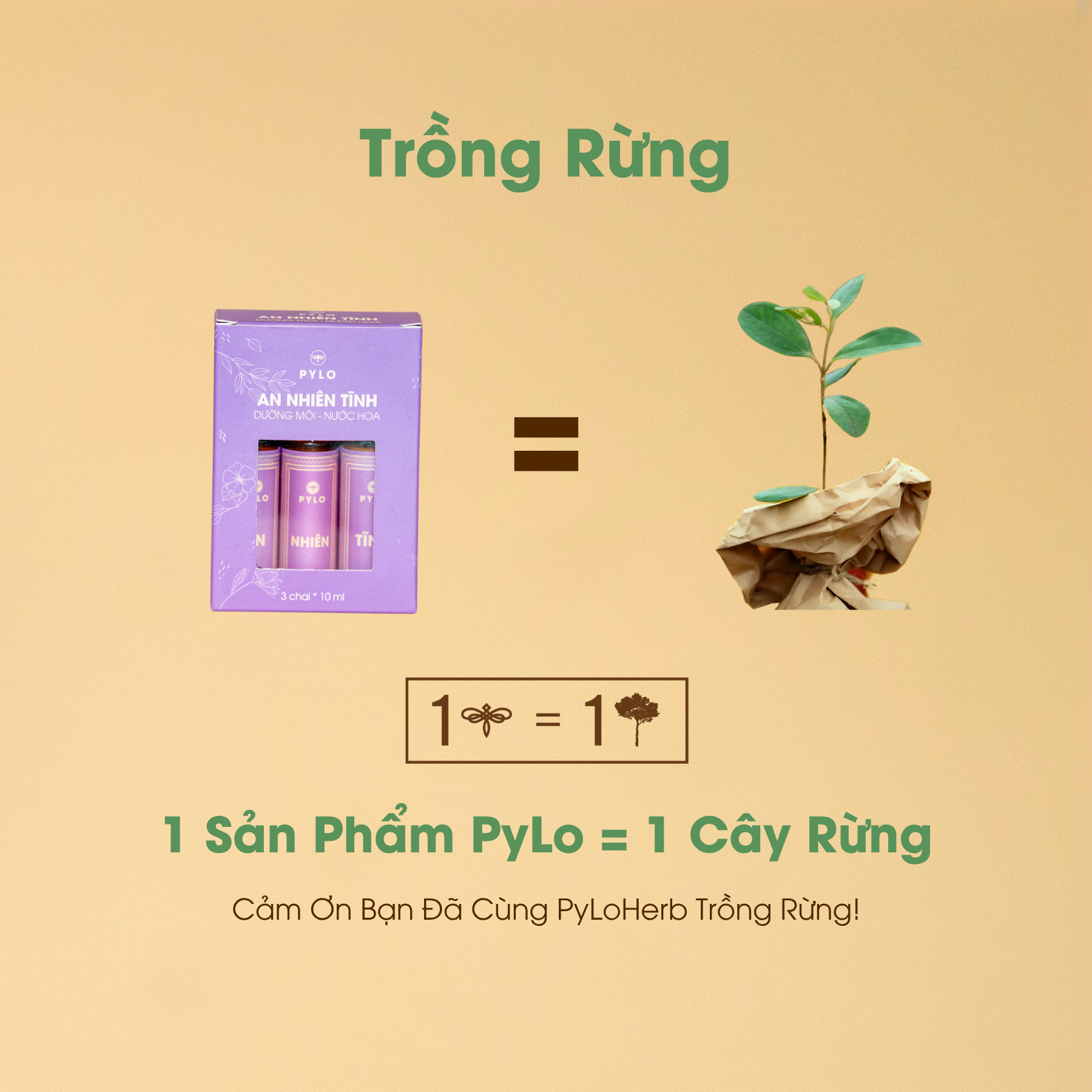 Combo An Nhiên Tĩnh - Dưỡng Môi, Nước Hoa Thảo Dược PyLo - Ảnh 8